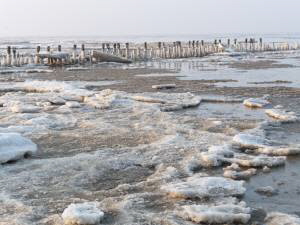 Eisschollen in der Nordsee