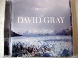 David Gray - Life In Slow Motion