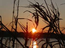 Wesel am Rhein