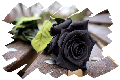 Black roses for Marlies Adamy...