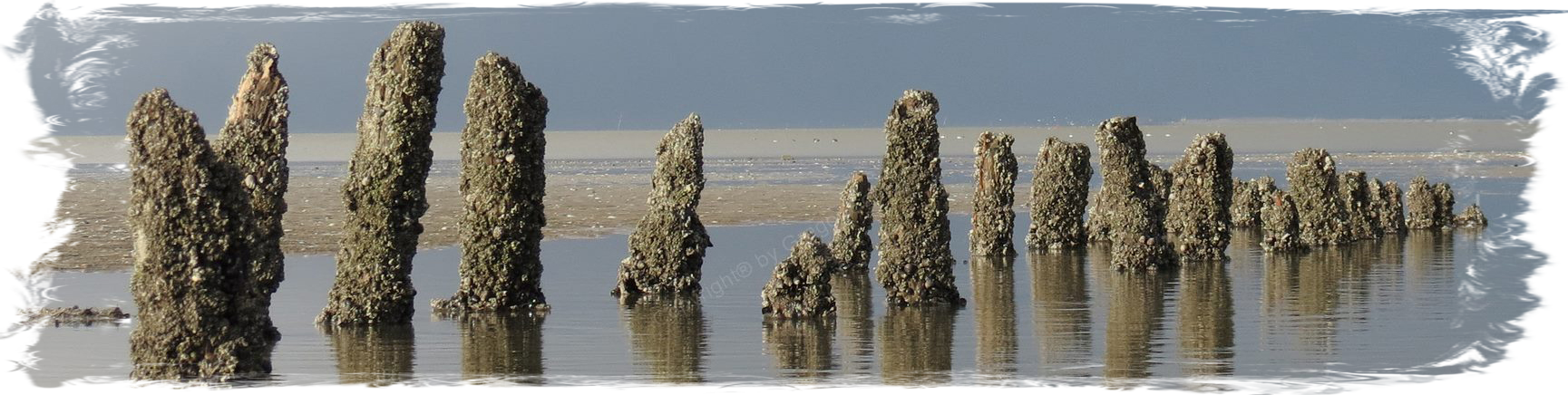 Harlesiel, Nordsee Harlesiel, Nordsee